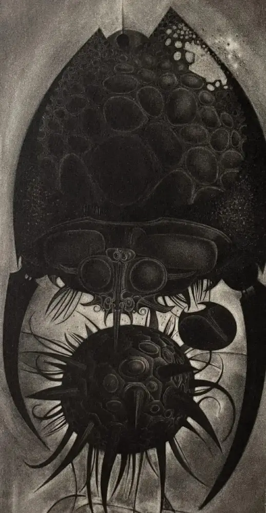 François Lunven Gravure Ponte